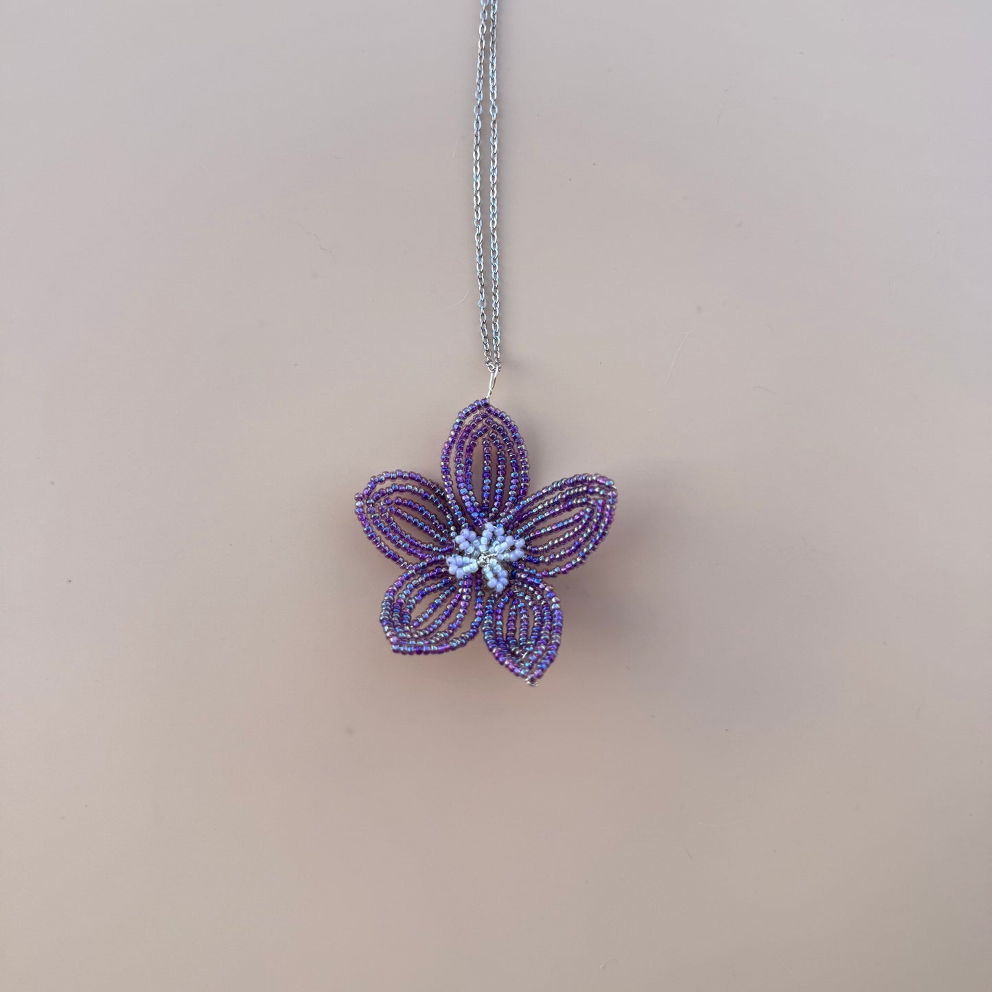Beaded flower - Anchusa Hybrida