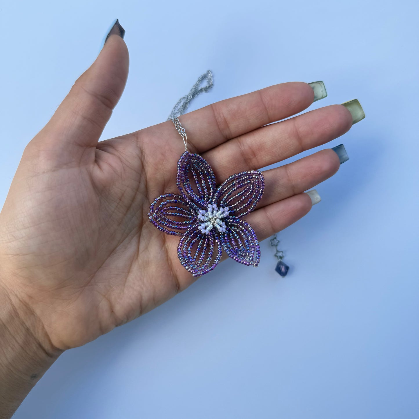 Beaded flower - Anchusa Hybrida